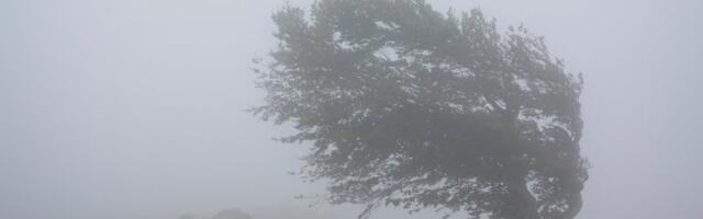 Ako ovo krene ka Srbiji... Haos u komšiluku, zatvorene škole, hiljade kuća bez struje!