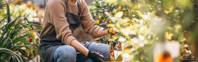 KAZNE DO 50.000 EVRA! Ako ovo radite za Uskrs u Nemačkoj - PAPRENO ĆETE PLATITI!