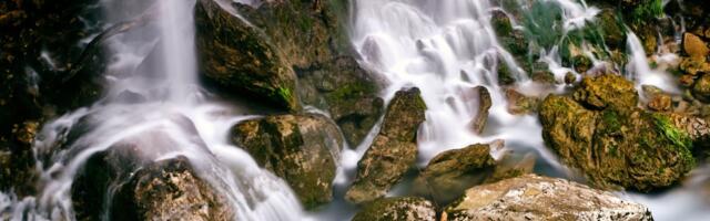 L’Oréal jedina kompanija na svetu sa deset uzastopnih ocena „trostruko A“