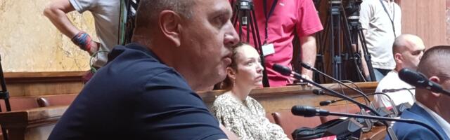 Veselinović: Radnička partija izlazi na izbore