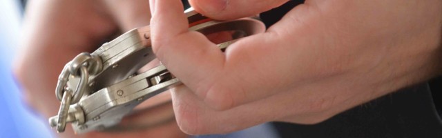 OBEĆAO PLASTENIKE, PA POBEGAO SA PARAMA