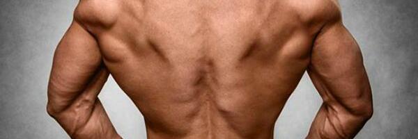 Najbolji i najžešći kućni trening za leđa