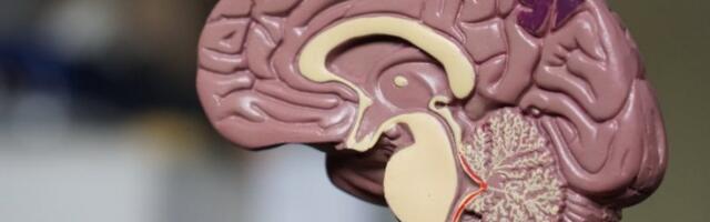 ISPOVEST LJUDI KOJI SU SE VRATILI IZ KOME: Buđenje nije kao u holivudskim filmovima!