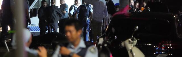 Vanesi u masakru nestala ćerka (3), našli je ispod povređene žene: Spasila je, biću joj zahvalna dok sam živa