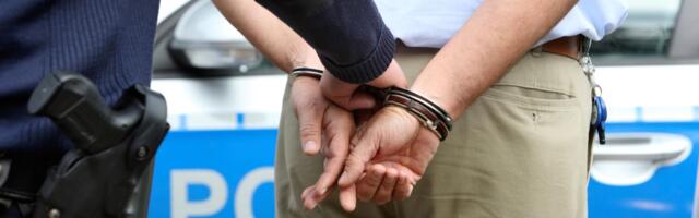 DVOJICA NASILNIKA IZ ZEMUNA UHAPŠENA ISTI DAN ZBOG JEZIVOG NASILJA U PORODICI: Pretili detetu i ženama, pa odmah uhapšeni