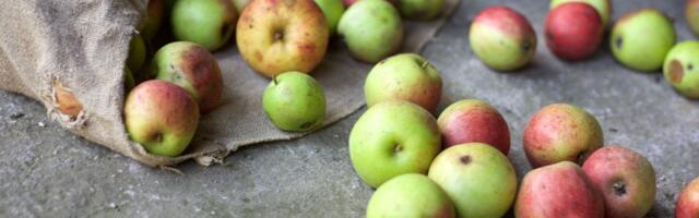 Zamena ljudi mašinama ostavlja velike količine hrane zarobljene i neupotrebljive