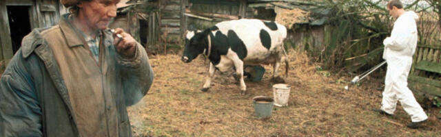 Белоруски научник разбија митове: У Чернобиљу никада нису пронађени мутанти