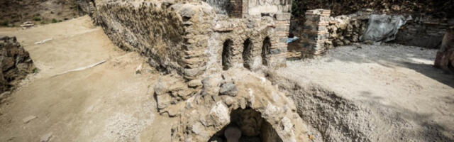 Археолози први пут уз помоћ ВИ реконструисали изглед жртве ерупције Везува