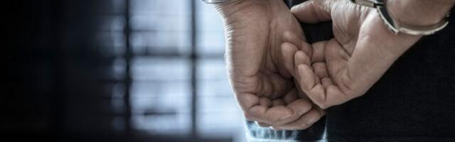 Prodavali palete od preduzeća u kojem su radili i time "zgrnuli" skoro 45 miliona: Hapšenje u Novom Sadu