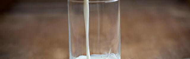 Ministarstvo kontrolisalo mlekare: Da li u mleku koje pijemo ima i onog u prahu?