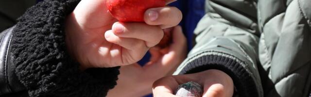 Kako da skuvate jaja za Vaskrs da ne bi pucala: Ovo je veoma bitno da uradite