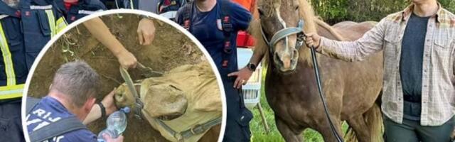 TEŠKA DRAMA U ZAGORJU! ZEMLJA PROGUTALA ČOVEKA I KOBILU TEŠKU POLA TONE! Vatrogasci u teškom poduhvatu izveli akciju veka! (FOTO)