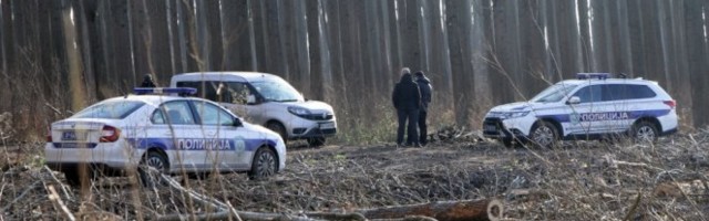 Drama u šumi kod Kupinova: Čuo se prasak, evo šta se dogodilo