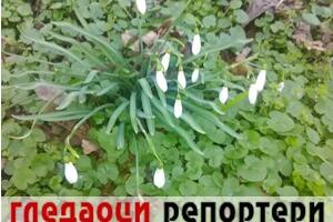 Гледаоци репортери (28. децембар 2022)