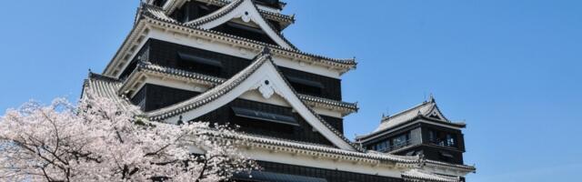 Hanami - japanski običaj koji slavi kratkotrajnu lepotu života