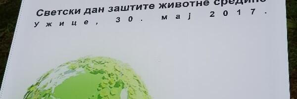 Kanadski crveni javor ponovo u Velikom parku