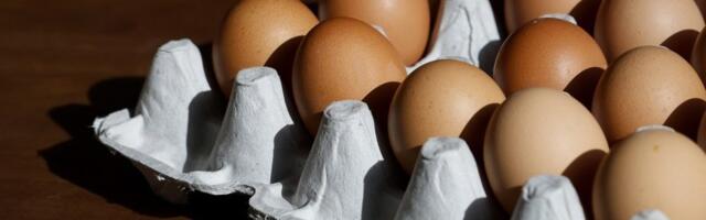 Više od pola miliona jaja iz Srbije uništeno u Severnoj Makedoniji