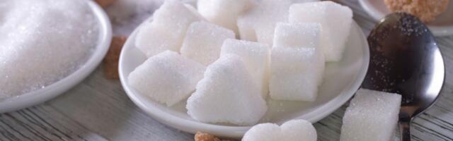 Nije problem kolač - problem je što živimo "na šećeru": Svakodnevna navika koja sabotira vašu energiju