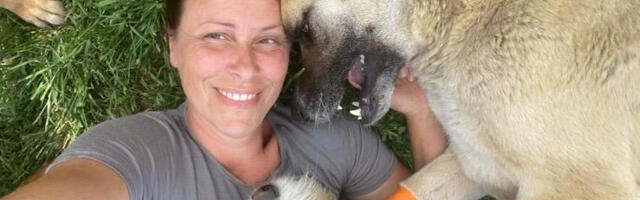 Miloš i Marija više od 15 godina pomažu napuštenim psima: „Najveći problem je nedostatak volontera, hrane, lekova“