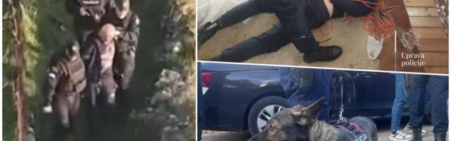 POLICIJSKI PAS PRONAŠAO DVOSTRUKOG UBICU U CRNOJ GORI! Pogledajte gde se krio osumnjičeni Vulević: Policija otkrila detalje o uhapšenom (VIDEO)
