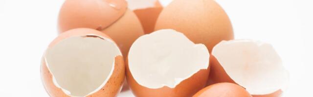 Ne bacajte ljuske od jaja: Mogu da budu neizmerno korisne u vašem dvorištu!