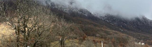 Drama: Medved napao čuvare parka