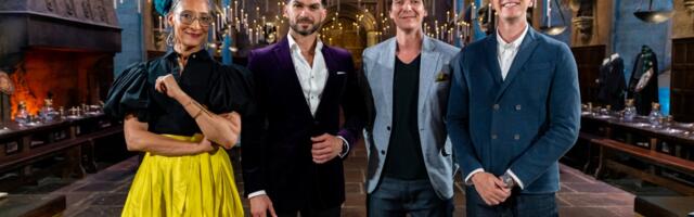 Poslastičarski šou inspirisan HARIJEM POTEROM stiže na male ekrane