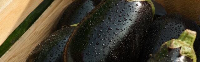 Znate li šta zapravo jedete? Evo zbog čega je vekovima patlidžan važio za otrovan