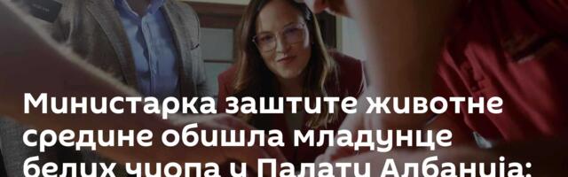 Министарка заштите животне средине обишла младунце белих чиопа у Палати Албанија: Птице су добро
