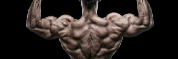 6 vežbi za leđa Herkulesa