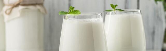 Kruži navodna HITNA depeša ambasade Srbije: Naše diplomate kukaju, OSTALE BEZ JOGURTA (FOTO)