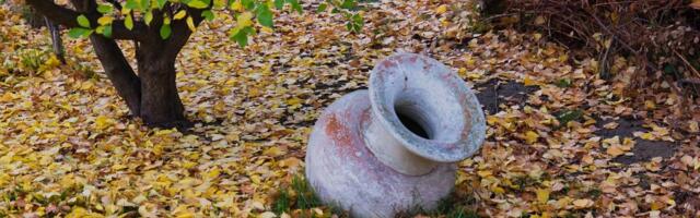 Neće vam biti dobro kad čujete šta je upravo u decembru 2025. godine pronađeno u posudama u ovom mestu!