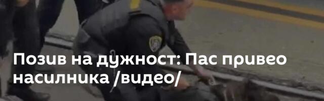 Позив на дужност: Пас привео насилника /видео/