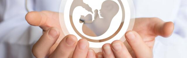 Bračnim parovima iz Smederevske Palanke dodeljeni ugovori za VTO