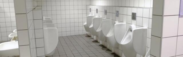 Pogledajte kako je obezbeđen javni toalet u Mađarskoj: Fotka je postala hit na društvenim mrežama