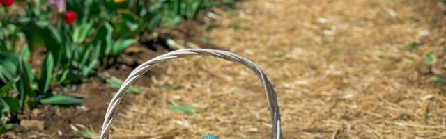 Šta zaista treba da se nađe u uskršnjoj korpi: Sveštenici upozoravaju na greške koje mnogi prave za Uskrs