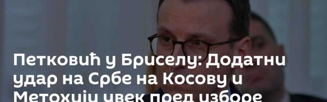 Петковић у Бриселу: Додатни удар на Србе на Косову и Метохији увек пред изборе