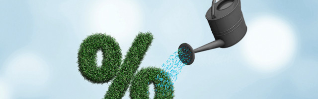 Profesor Pravnog: „Ako frilenseri ne mogu da plaćaju porez, njihov biznis ne treba da preživi”