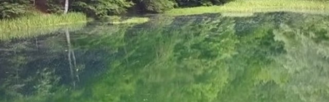 Ovo je nezaboravna srpska destinacija za putovanje sa društvom!