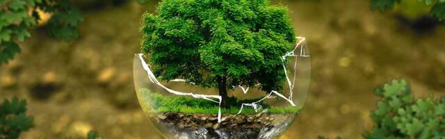 Akcija koja je mnoge oduševila: Zaboravite ruže – za 8. mart poklonite drvo i učinite dobro delo