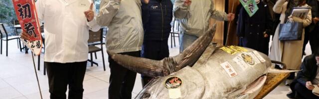 Ogromna tuna prodata u Tokiju za 1.3 miliona dolara