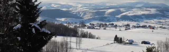"Sve češće se približavaju naseljenim područjima" Neobičan prizor zabrinuo meštane Peštera: Svojevrsno upozorenje stočarima