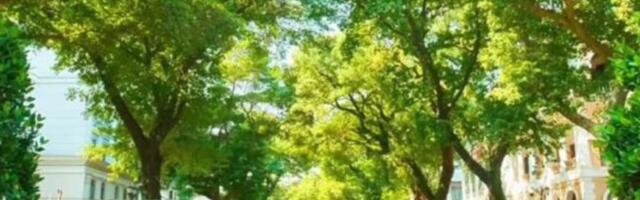 Prvi susret sa provincijom Guangdung (Serija: Kina, zamisli nezamislivo)