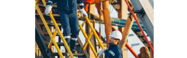 Шта чека запослене у НИС-у ако их МОЛ купи