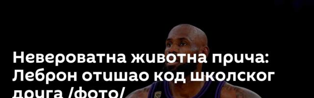 Невероватна животна прича: Леброн отишао код школског друга /фото/