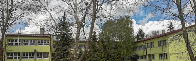 Grupa nastavnika Osnovne škole u Svrljigu stupila u štrajk