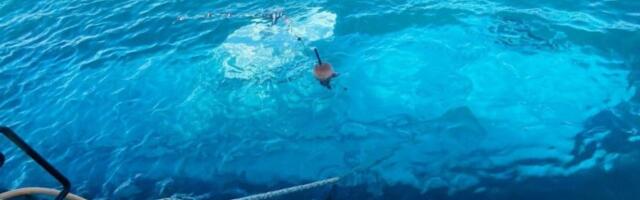 ŠESTORO TURISTA STRADALO ZBOG BIZARNE GREŠKE: Podmornica počela da tone jer su VRATA OSTALA OTVORENA