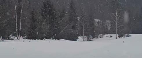 SNEG VEJE U OVOM DELU SRBIJE NA PRVI DAN PROLEĆA! Prizori kao iz bajke, visina pokrivača oko 40 centimetara! Evo gde se očekuje narednih dana (VIDEO)