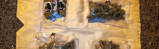 Mladić (21) "pao" kod Aleksinca: Policija mu pretresla automobil - pronađena droga