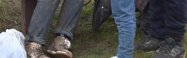 Državljanin Srbije uhapšen je u Mađarskoj, prevozio 14 migranata u automobilu